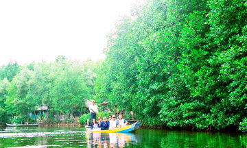 can gio mangrove forest day tour
